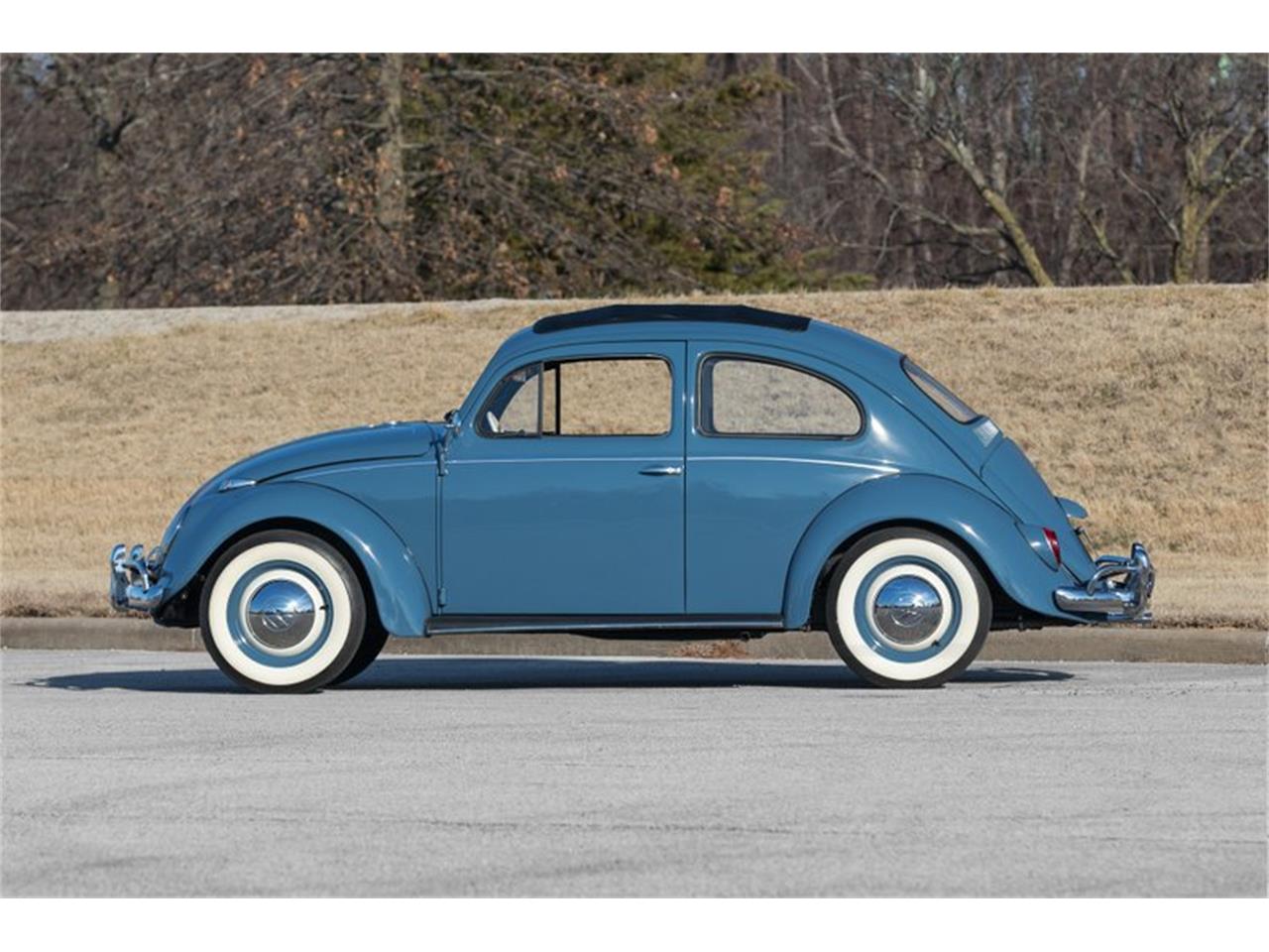1959 volkswagen beetle
