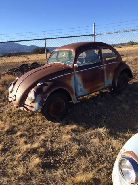 1963 vw volkswagen beetle bug