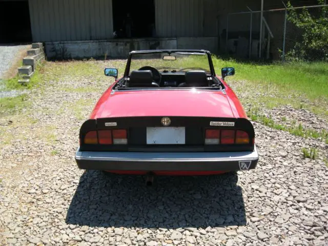 zarba5417g1036395/alfa spider