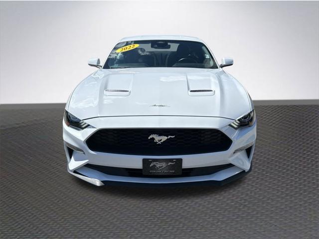 2022 ford mustang ecoboost