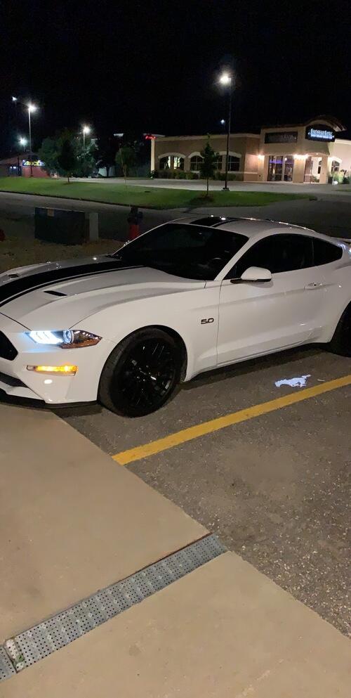 2019 mustang gt premium 18,736 miles