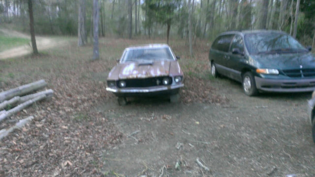 1969 ford mustang base hardtop 2-door 4.1l