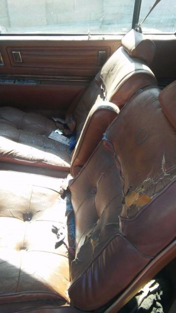 1979 eldorado project