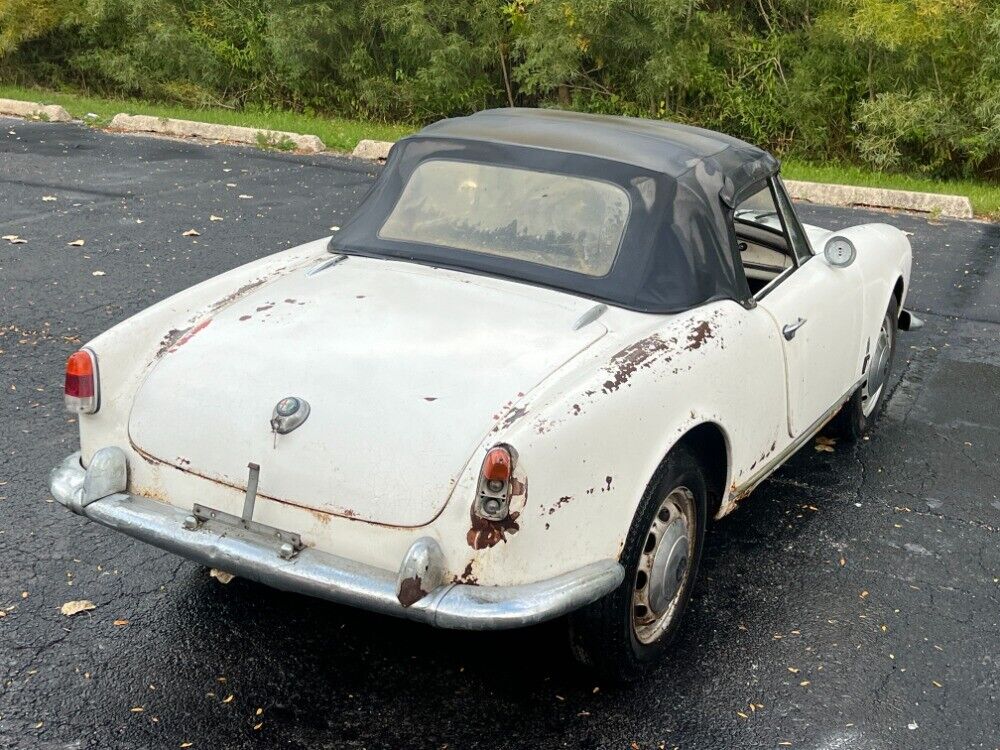 1961 alfa romeo spider
