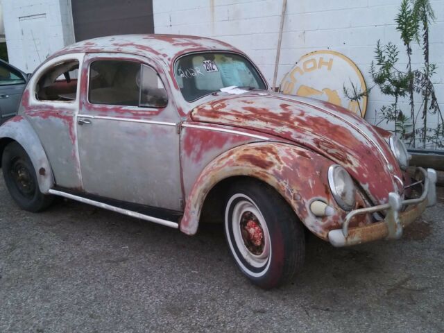 1956 volkswagen beetle small oval