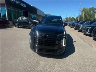 2024 Hyundai Palisade calligraphy night edition