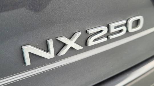 2024 Lexus NX