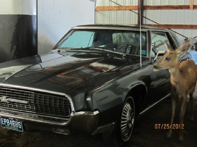 obo classic car in colorado springs, co