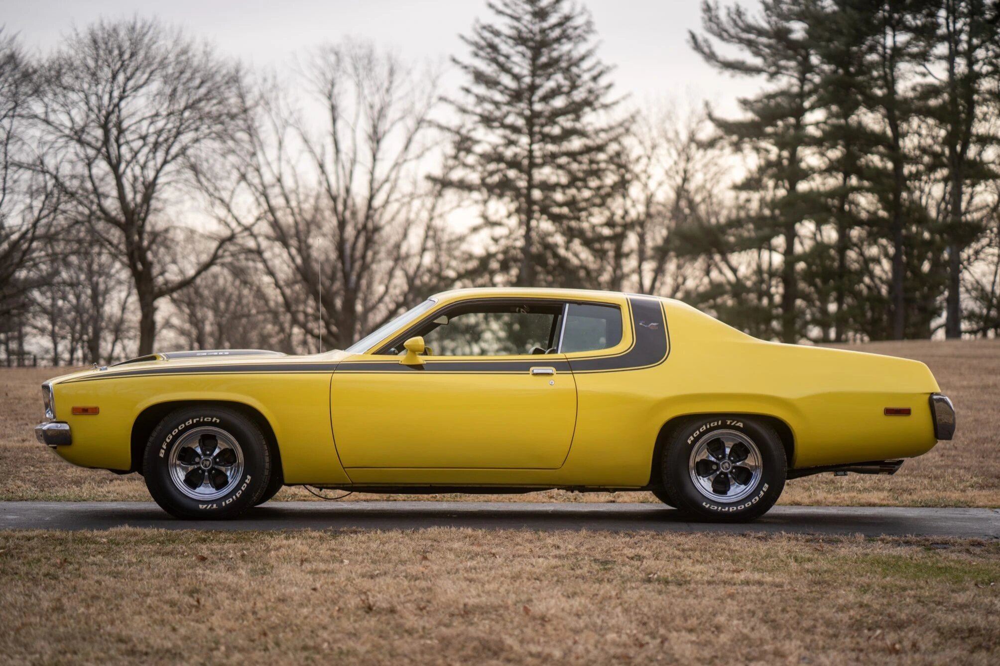 road runner