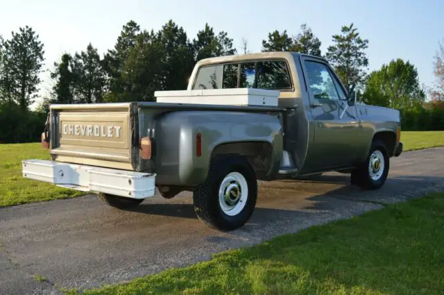 chevy c-10 shortbed stepside