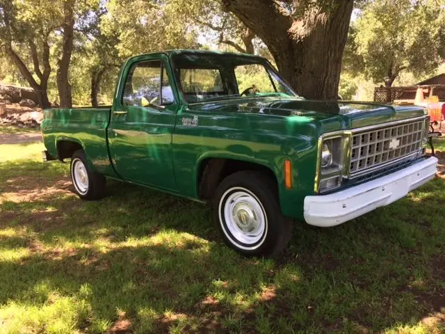 1980 chevrolet c10 short bed one-owner patina barn find 66k original miles!!!