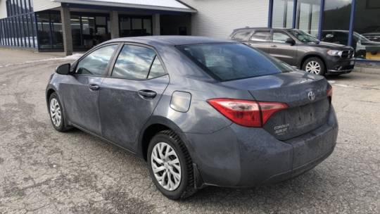 2019 toyota corolla l