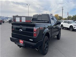 2013 Ford F-150 fx4