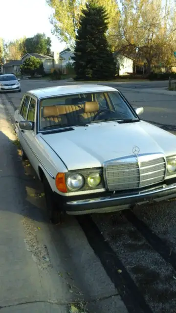 1981 mercedes 240d w123
