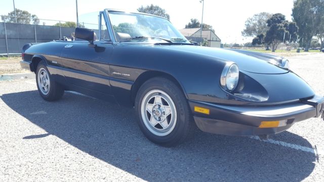 alfa romeo spider for sale