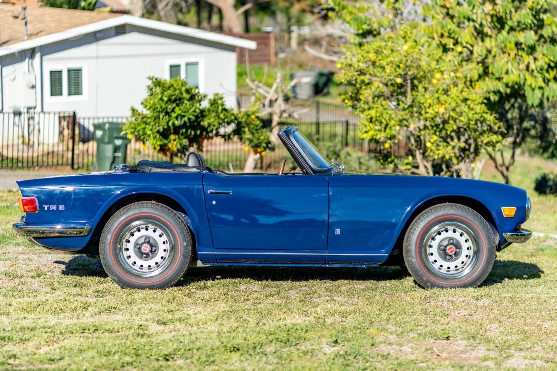 triumph tr6