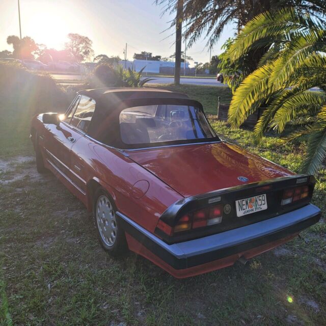 1986 alfa romeo spider convertible red rwd manual quadrifoglio