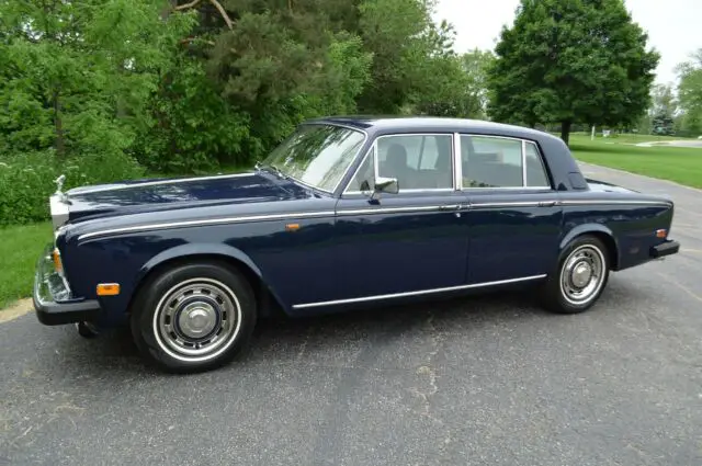 unique and rare colour. a gorgeous shadow ii from america's best in rr