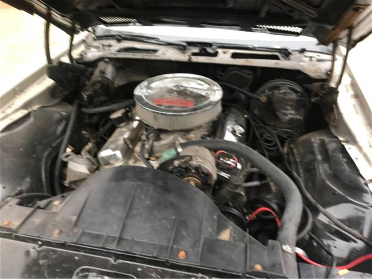1976 pontiac firebird trans am