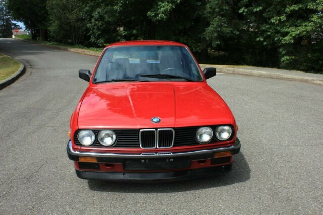 1986 bmw 325e m-50: wolf in sheep’s clothing