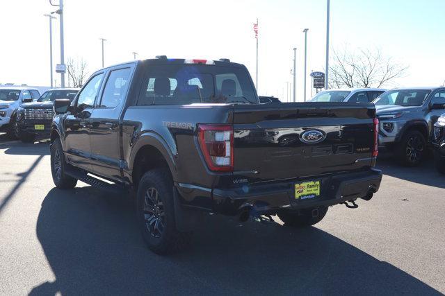 2022 ford f-150 tremor