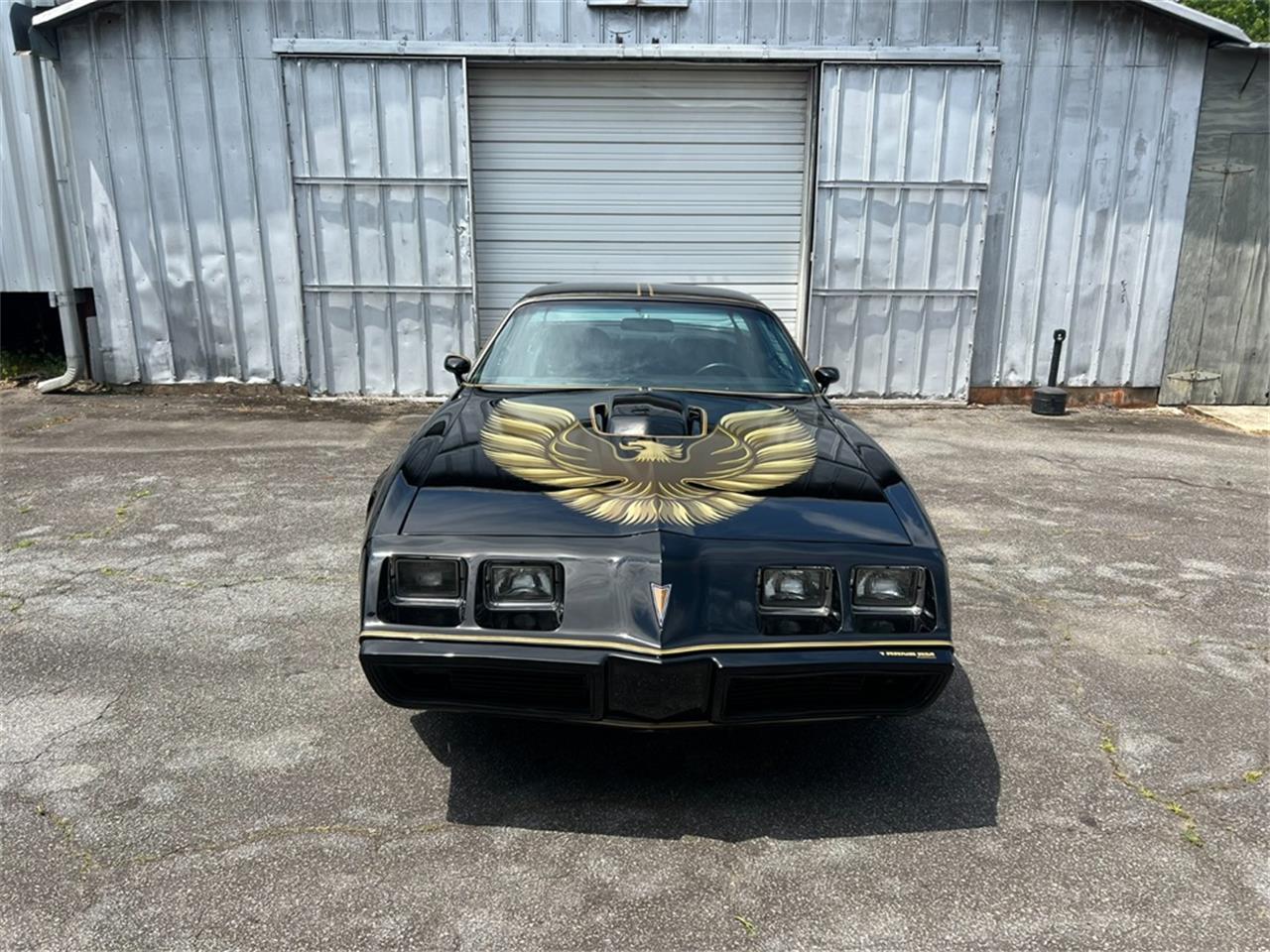 1979 pontiac firebird