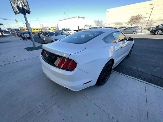 2015 ford mustang ecoboost coupe 2d in malden, massachusetts