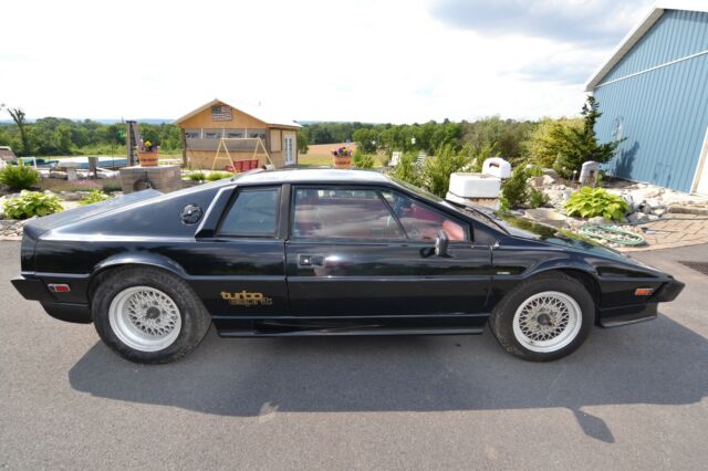 1984 lotus esprit turbo. black. original car. 87,428 miles