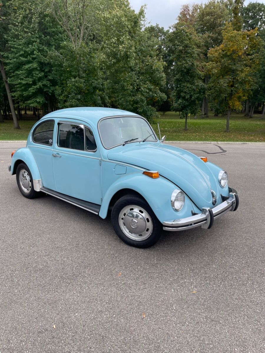 1973 standard volkswagen beetle