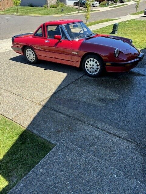 1989 alfa romeo spider quadrifoglio