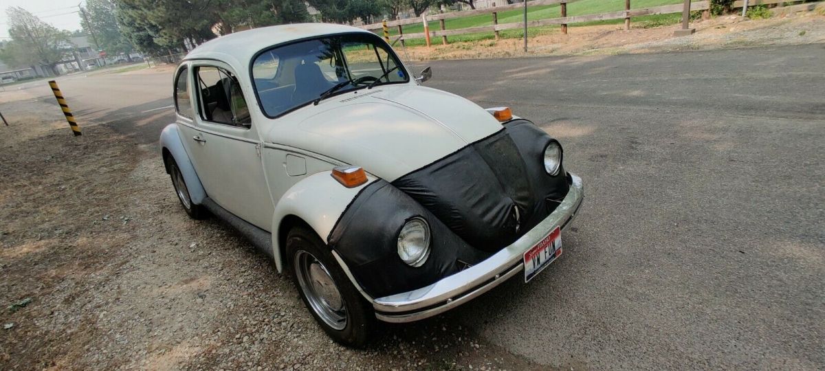 1973 standard beetle rust free! no reserve!