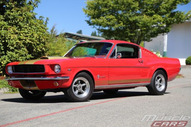 1965 mustang fastback - factory v8 - performance gt350 tribute