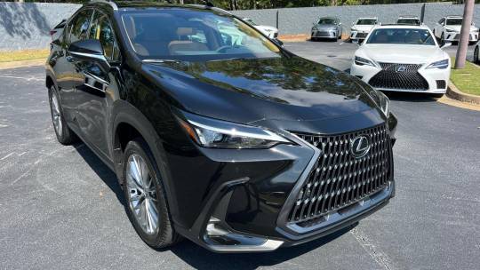 2025 Lexus NX