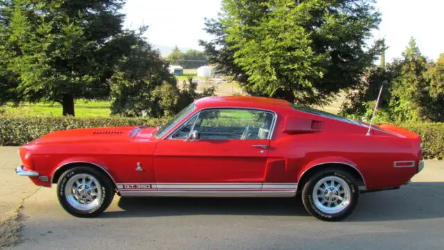 1968 shelby gt350 mustang real deal! matching #'s highly documented no reserve!