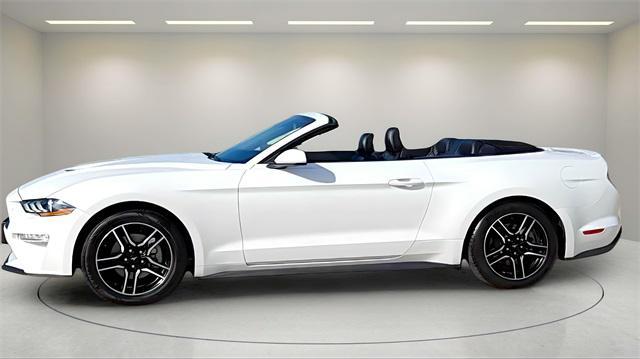 2022 ford mustang ecoboost