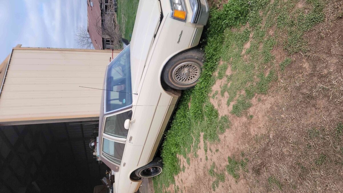 1985 chevrolet caprice sedan white classic