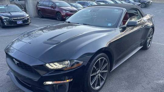 2019 Ford Mustang