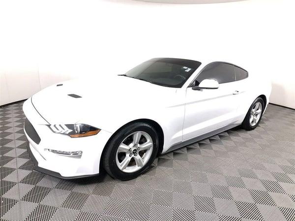 2019 ford mustang in burnips, michigan