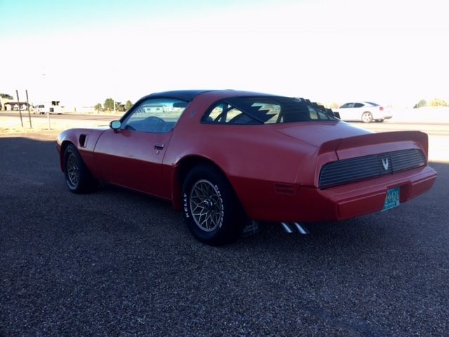 1981 pontiac trans am 4.9 t-tops, rust free, fresh interior, driver, lets roll