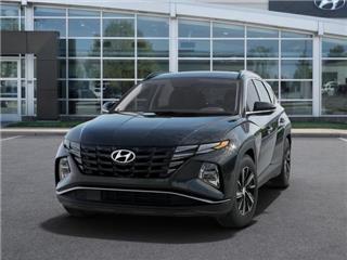 2024 Hyundai Tucson blue
