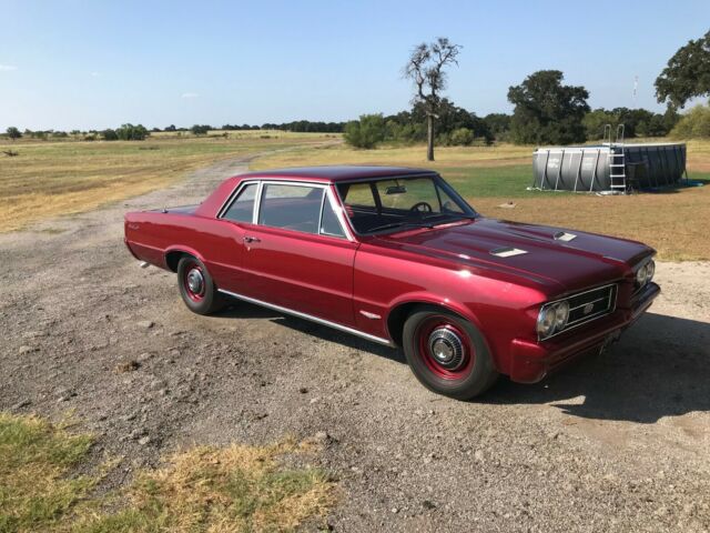 1964 gto tempest