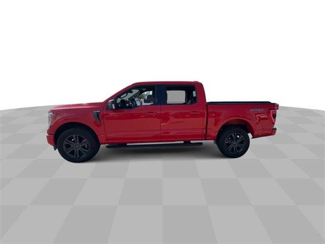2022 ford f-150 xl
