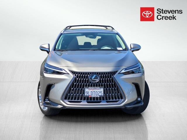 2024 lexus nx 350 luxury