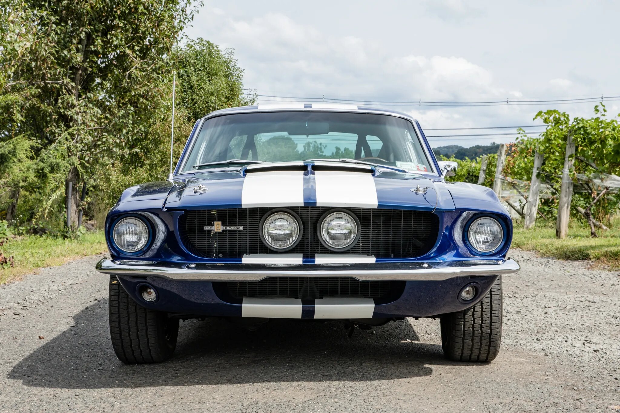 shelby mustang gt350