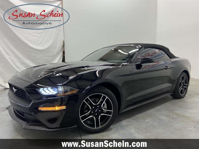 2023 ford mustang ecoboost
