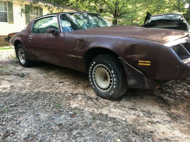 1981 pontiac turbo trans am t-top