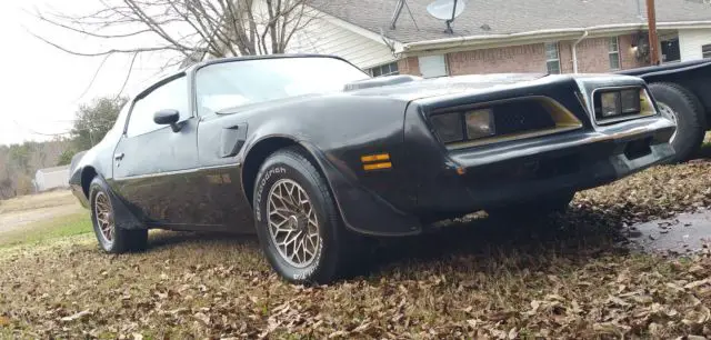 1978 pontiac firebird trans am se special edition "bandit" t-top y82, w72, ws6