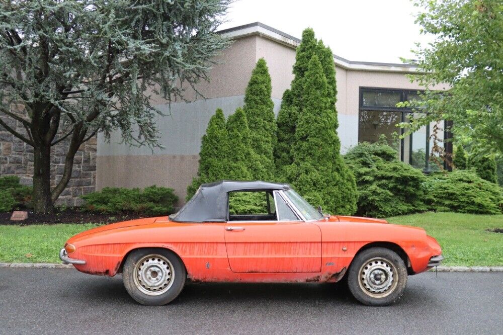 1966 alfa romeo duetto