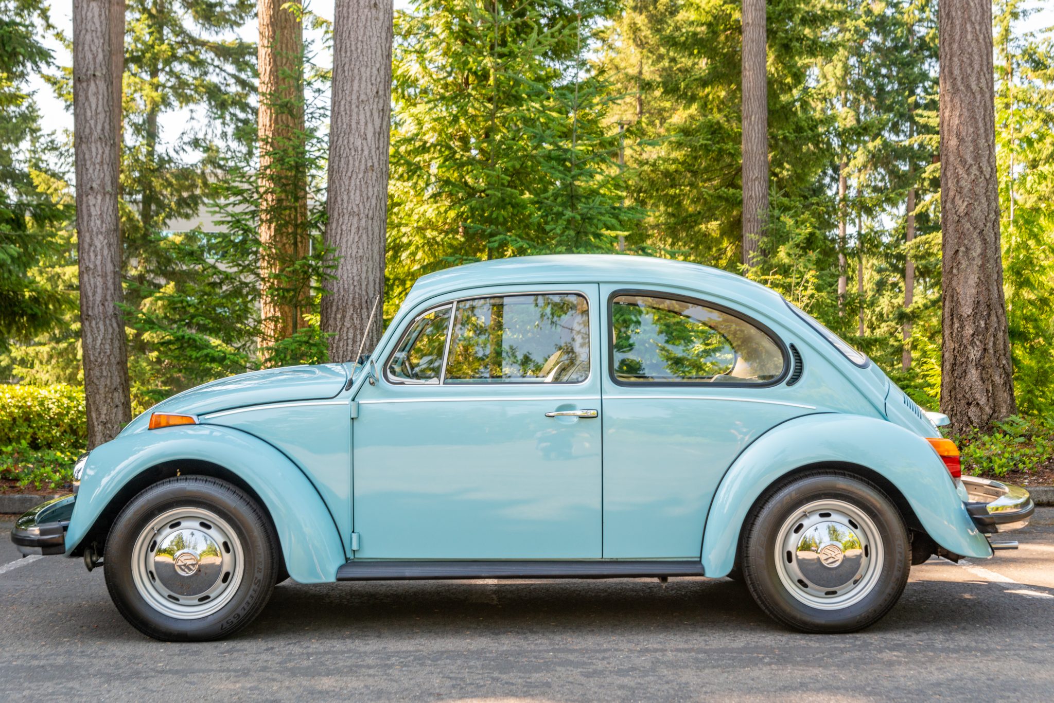 1974 volkswagen beetle