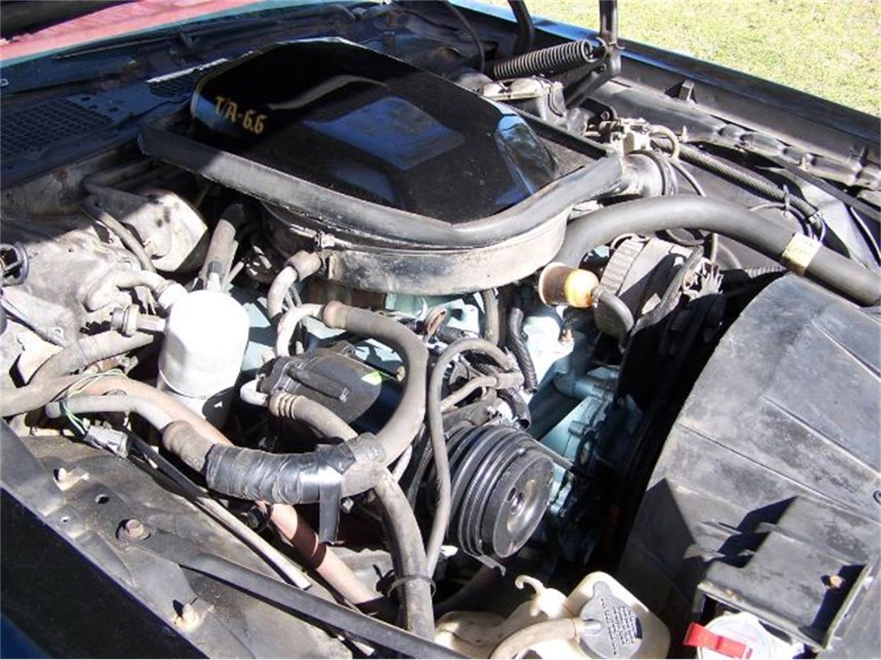 1978 pontiac firebird trans am